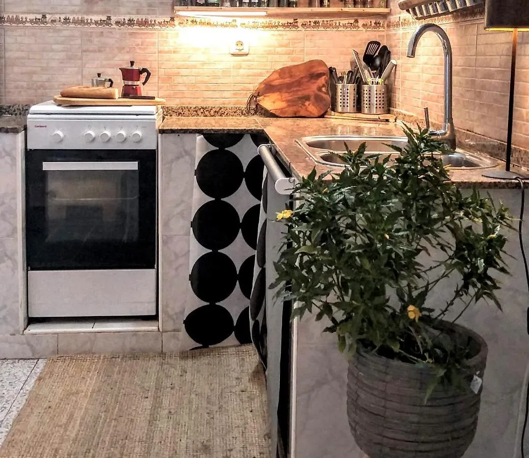 Sunny Cottage La Oliva Apartment